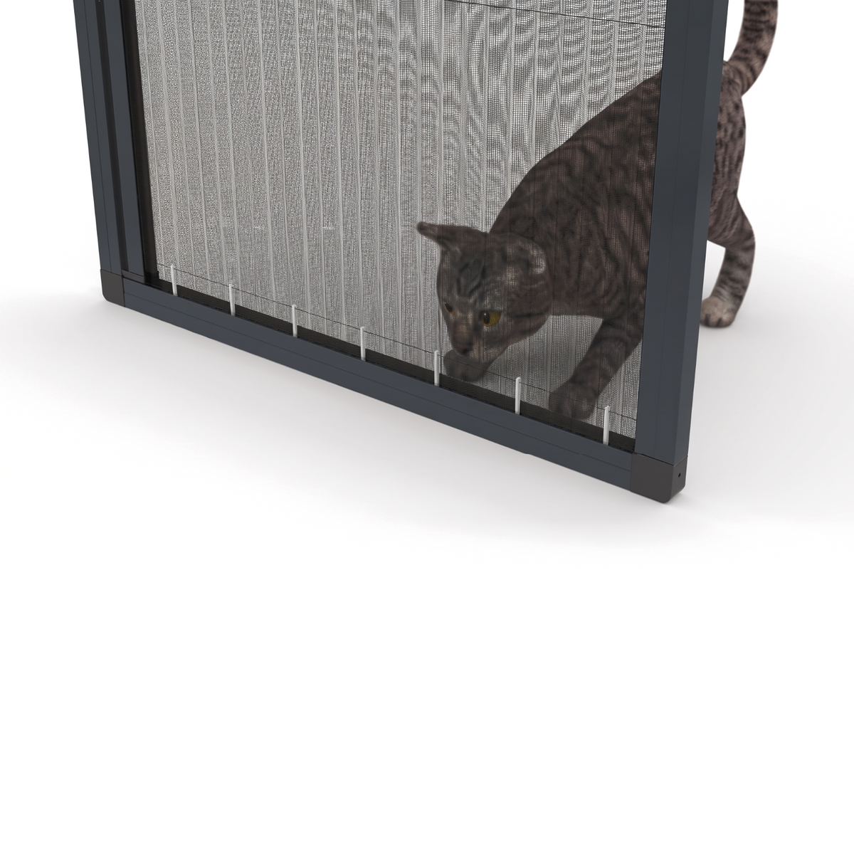 27 mm Kedi Sinekliği Sistemi (Kanallı) - RAL 7016 Antrasit Gri