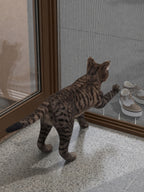 27 mm Kedi Sinekliği Sistemi (Kanallı) – uygulama – RAL 8014 Sepya Kahve