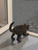 27 mm Kedi Sinekliği Sistemi (Kanallı) – uygulama – RAL 1013 İnci Beyazı