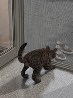 27 mm Kedi Sinekliği Sistemi (Kanallı) – uygulama – RAL 7039 Kuvars Gri